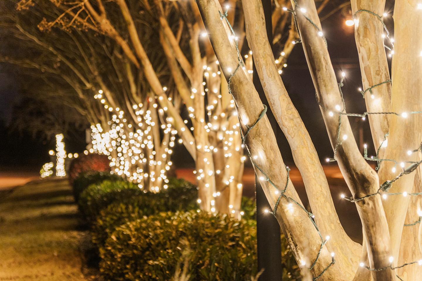 Christmas Lights Installation in Madison, Alabama | Hall describes Holiday Lighting Solutions as a complete light service that does design, installation, removal, storage, and all maintenance.