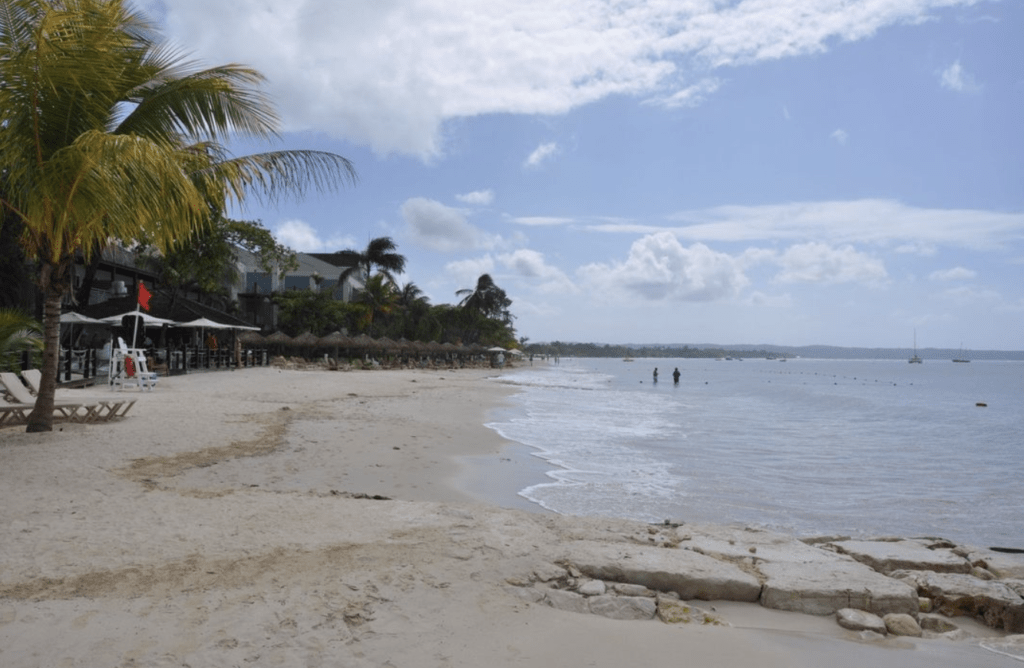 All Things Madison | Local Resident One of Top Sandals Travel Agents in the World