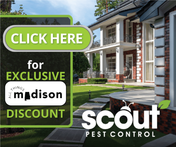 All Things Madison | Tackling Mosquitos in Madison With Scout Pest Control