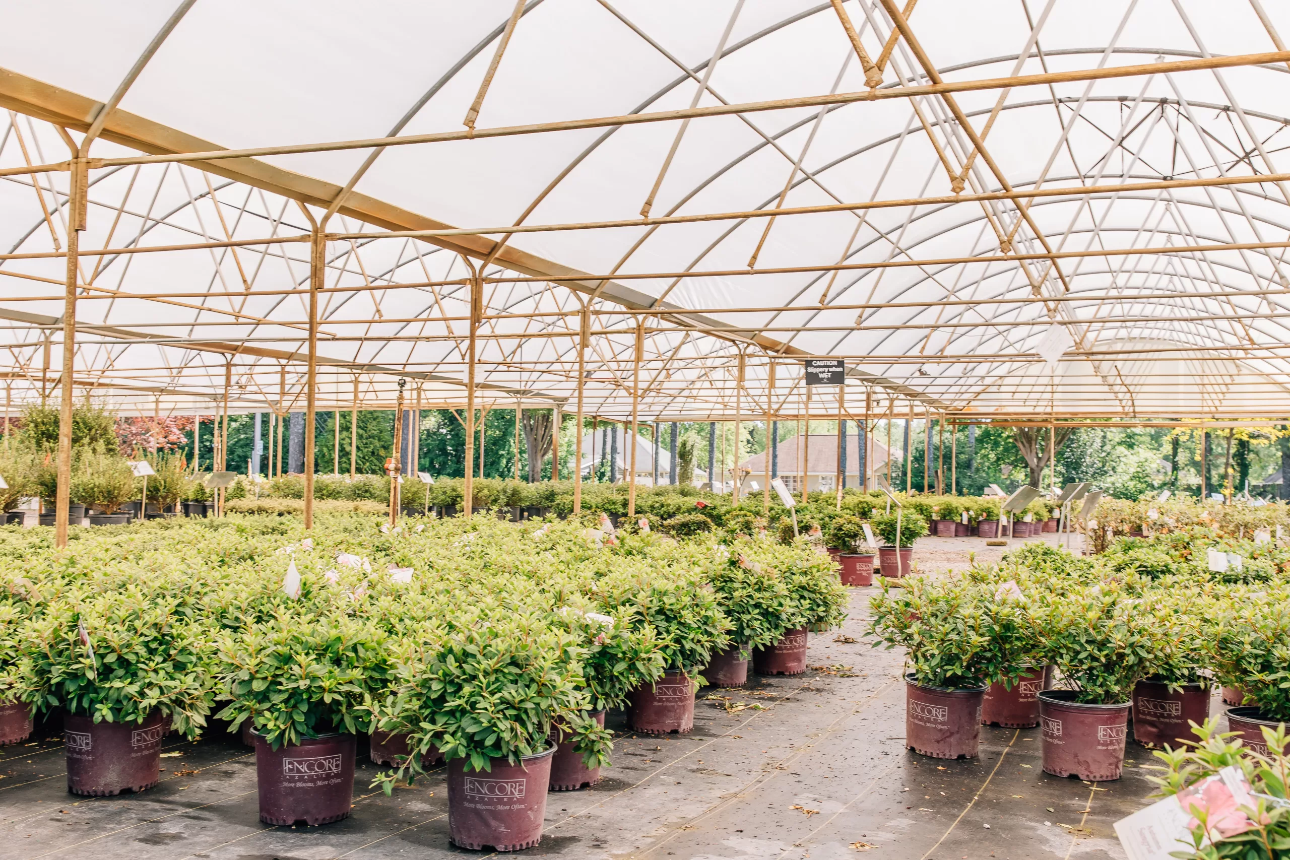 Indian Creek Wholesale Nursery in Madison If you're looking to make changes to your landscaping and work towards creating your own outdoor summer retreat, read on to learn more about summertime planting from the experts at Indian Creek Wholesale Nursery in Madison.